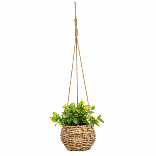 ZOE HANGING PLANT 17CM WITH NATURAL POT