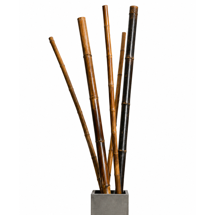 DECO BAMBOO STAKES 70/80X240CM