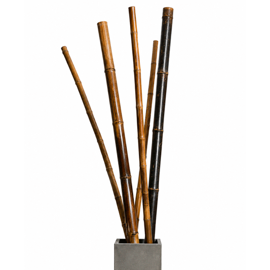 DECO BAMBOO STAKES 70/80X240CM