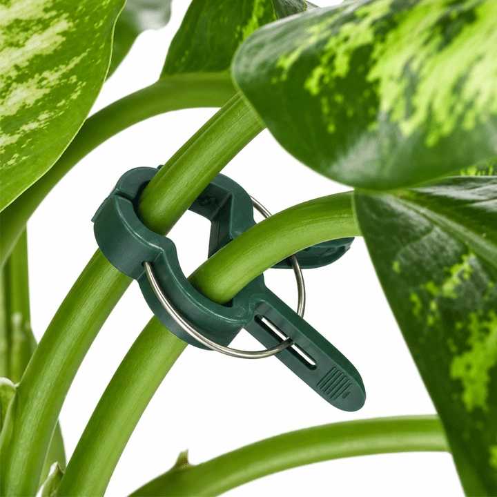 PLANT CLIPS PP 20PCS