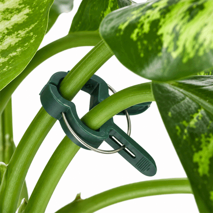 PLANT CLIPS PP 20PCS