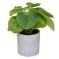 PLANTE POT MELAMINE 18CM