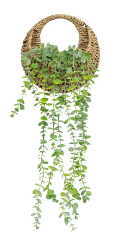 NAT HANGING EUCALYPTUS ZEA H70