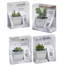 ARTIFICIAL PLANT PERF SET 4ASS