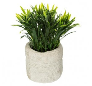 GREEN PLANT CEMENT POT H14