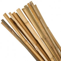 BAMBOO CANES 150CM 10PCS