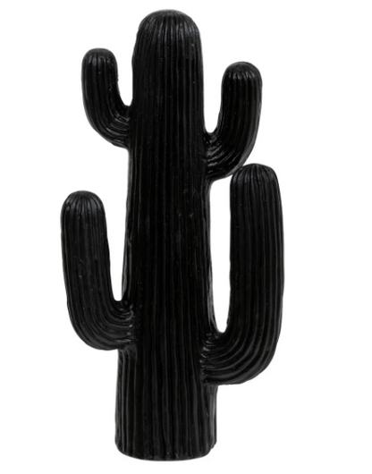 RODRIGO ODM CACTUS H38 OUTDR