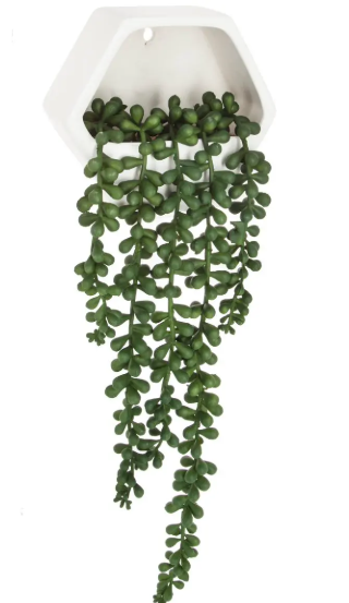 WALL VINE PLANT CEM CONTEMP