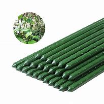 GARDEN STAKE HHG 90cm VYNIL COATED STEEL