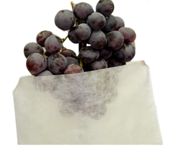 FRUIT COVER MESH 0.40X0.25MX10PCS
