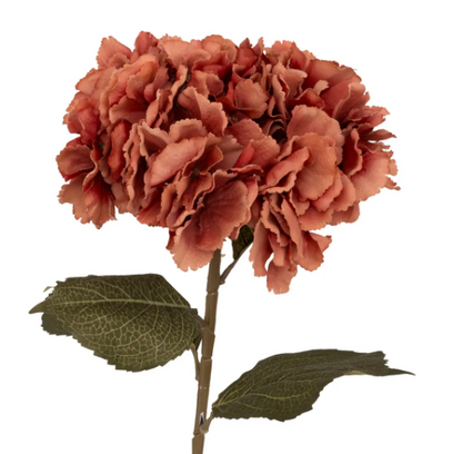 PLUM HYDRANGEA STEM GYPSY H83