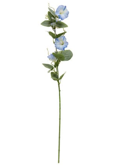PETUNIA STEM PHOEBE H76