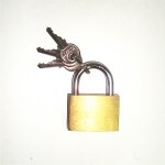 PADLOCK 30MM BLISTER BLOSSOM