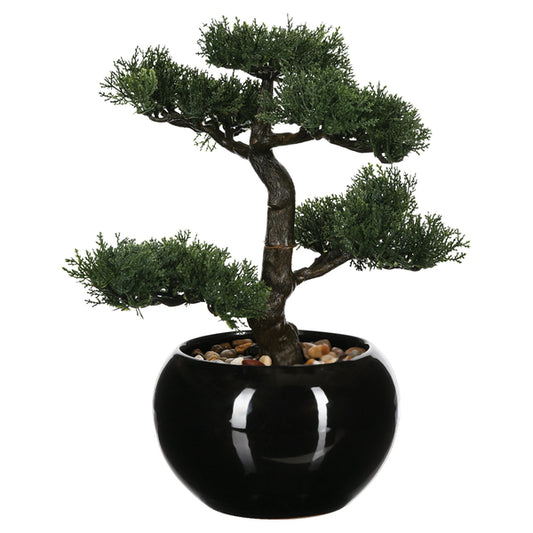 BONSAI WITH POT H36