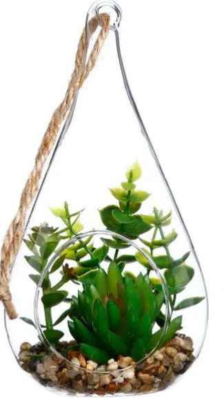 PLANT ARRANGEMENT H19.5CM