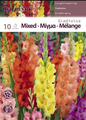 GLADIOLUS MIXTURE OF COLOURS