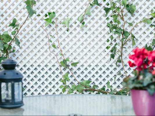 FIXED PLASTIC TRELLIS WHITE CE 1X2M 48MM