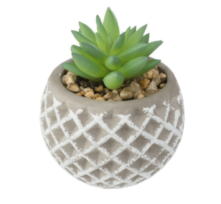 SUCCULENT CEMENT POT D8XH9
