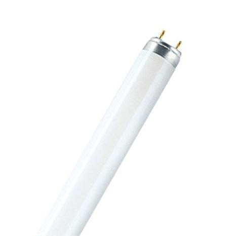 FLUORESCENT TUBE L30W/865 LUMILUX DAYLIGHT OSRAM