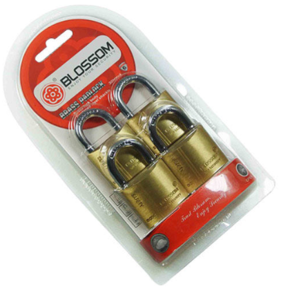PADLOCK 20MM SET 4PCS BLISTER BLOSSOM
