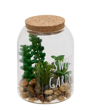 TERRARIUM W/PLANT ADY H13