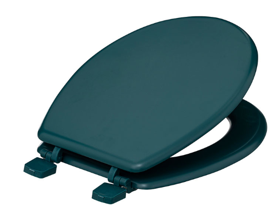 TOILET SEAT PETROLE COLOR