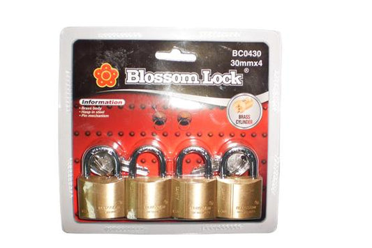 PADLOCK 30MM SET 4PCS BLISTER BLOSSOM