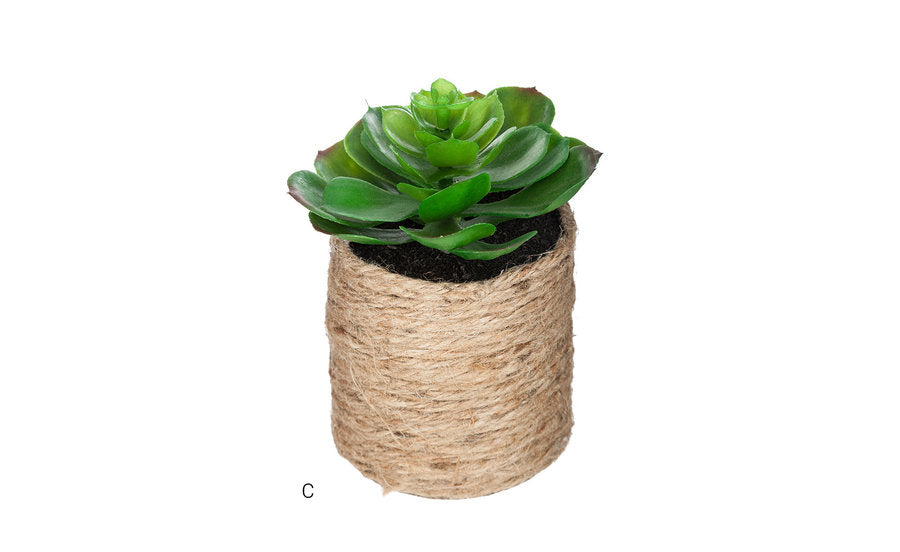 GREEN PLANT ROPE POT H16