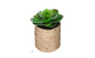 GREEN PLANT ROPE POT H16