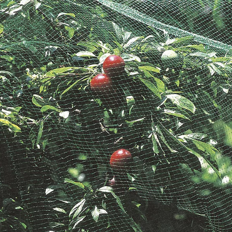 PLANT PROTECTION NET GREEN  8X2M