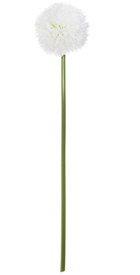 DAISY BALL STEM LOTY H60