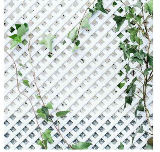 FIXED PLASTIC TRELLIS CE 0.6X1.8M 18MM WHITE