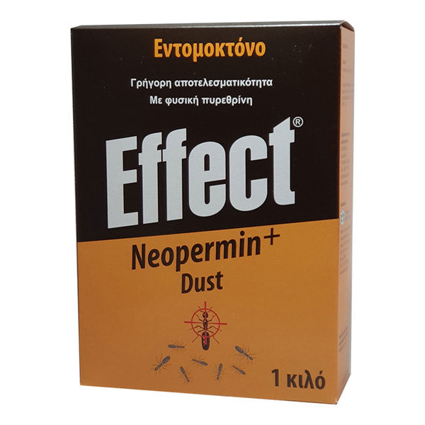 EFFECT DUST 1KG