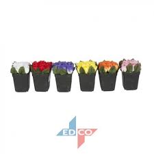 FLOWER ROSE 10PCS PL 6ASS