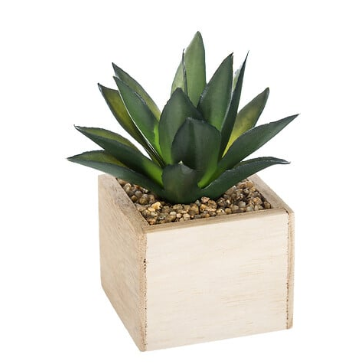 GREEN PLANTE MDF POT H14
