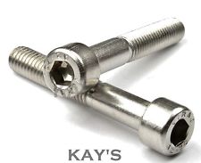 HEXAGON SOCKET CYLINDRICAL S/STEEL HEAD SCREW 6X60MM 4PCS