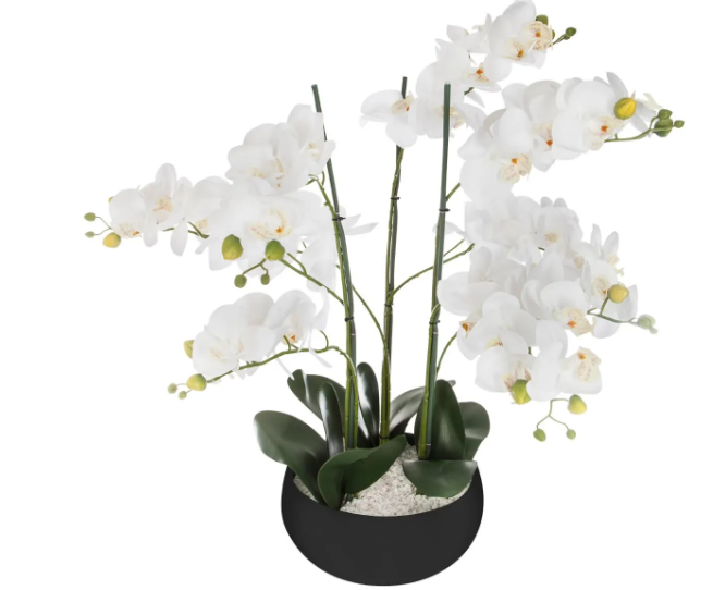 ORCHID BLACK CERAMIC POT H65