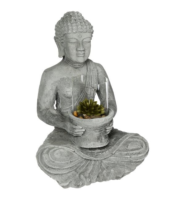 BUDDHA GM + ACCESS GM