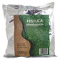 FESTUCA GRASS SEEDS 500GR