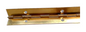 PIANO HINGE BRASS PLATED 2M