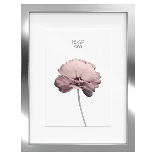 ST PHOTOFRAME PRAGUE 18X24 AG SILVER